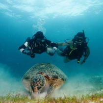 diving